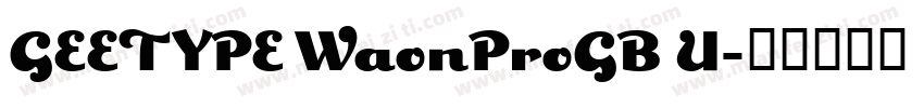 GEETYPE WaonProGB U字体转换